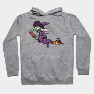 Cartoon Witch On Broom With Black Cat Hoodie